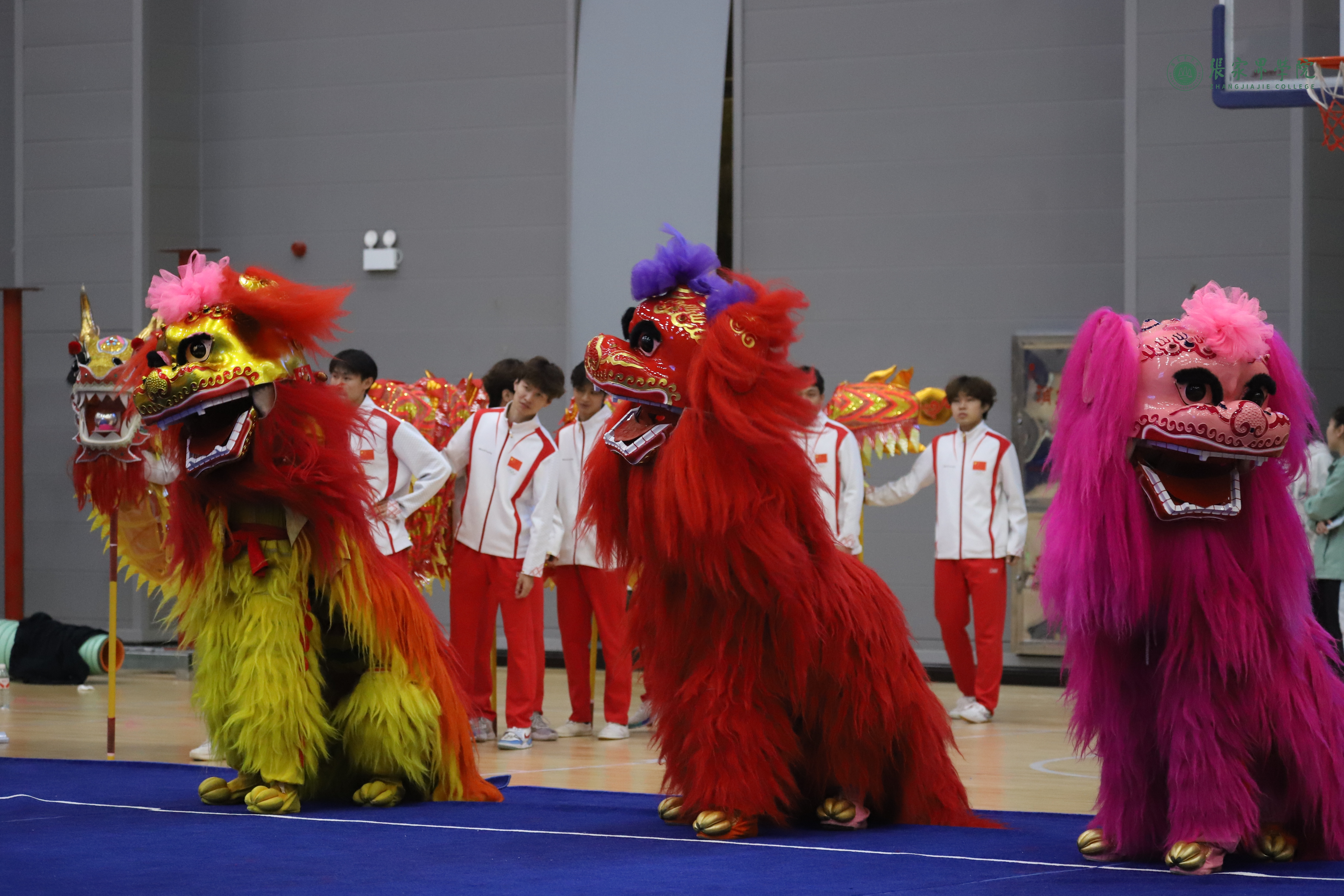 78528